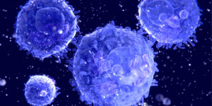 Cupping for Immune Support