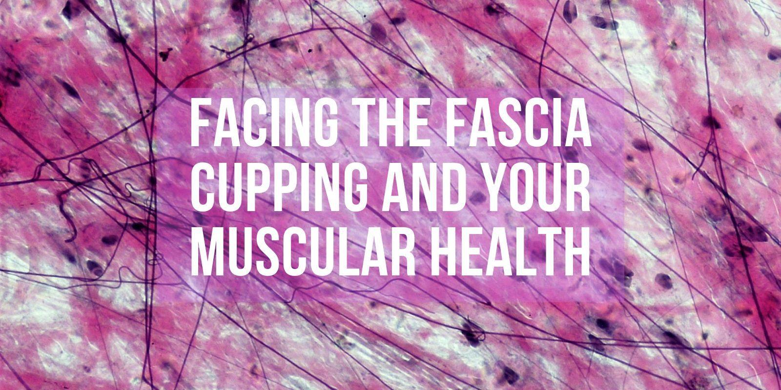 FACING THE FASCIA – CUPPING AND YOUR MUSCULAR HEALTH - Lure Essentials
