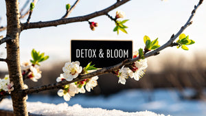 3 Powerful Ways to Detox in Winter & Bloom Into Spring