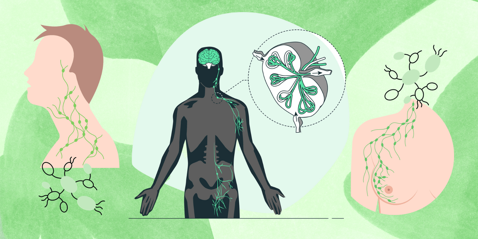 Natural Ways to Revitalize Your Lymphatic System